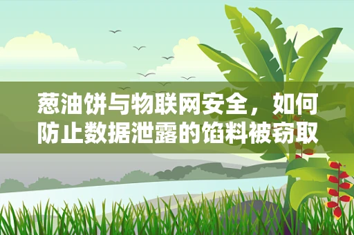 葱油饼与物联网安全，如何防止数据泄露的馅料被窃取？