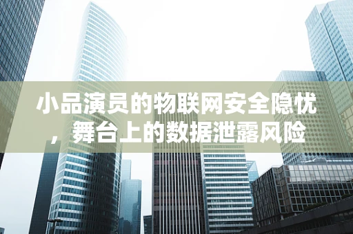小品演员的物联网安全隐忧，舞台上的数据泄露风险