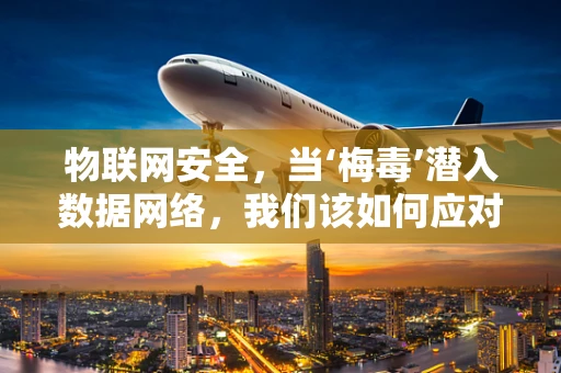 物联网安全，当‘梅毒’潜入数据网络，我们该如何应对？