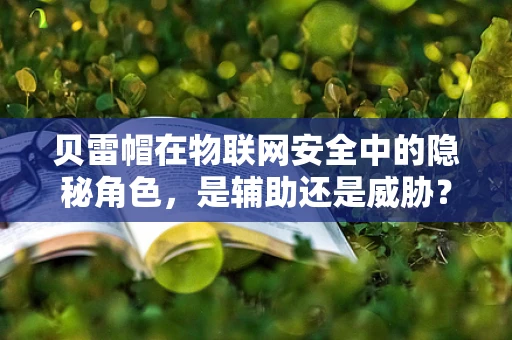 贝雷帽在物联网安全中的隐秘角色，是辅助还是威胁？