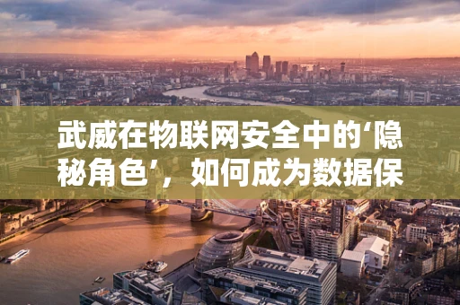 武威在物联网安全中的‘隐秘角色’，如何成为数据保护的‘守护者’？