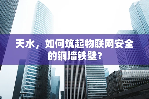 天水，如何筑起物联网安全的铜墙铁壁？