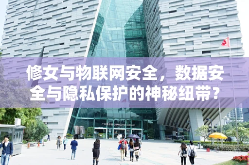 修女与物联网安全，数据安全与隐私保护的神秘纽带？