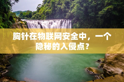 胸针在物联网安全中，一个隐秘的入侵点？