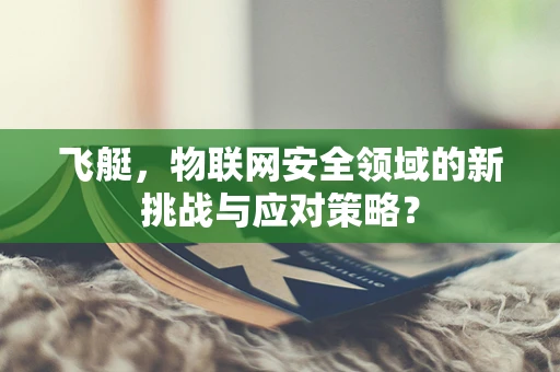 飞艇，物联网安全领域的新挑战与应对策略？
