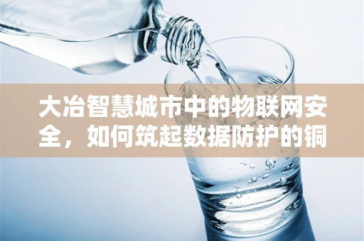 大冶智慧城市中的物联网安全，如何筑起数据防护的铜墙铁壁？
