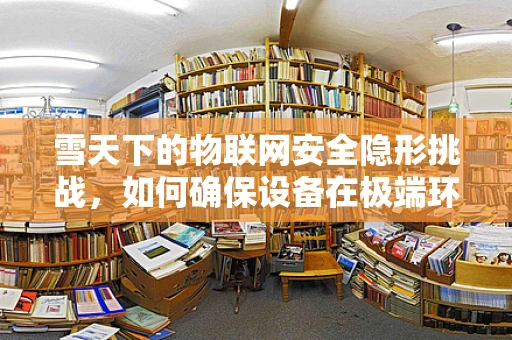 雪天下的物联网安全隐形挑战，如何确保设备在极端环境中的稳定运行？