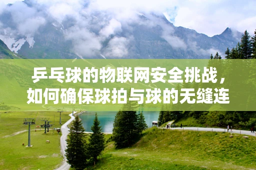 乒乓球的物联网安全挑战，如何确保球拍与球的无缝连接？