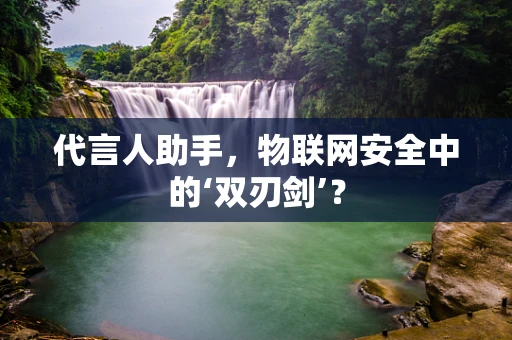 代言人助手，物联网安全中的‘双刃剑’？