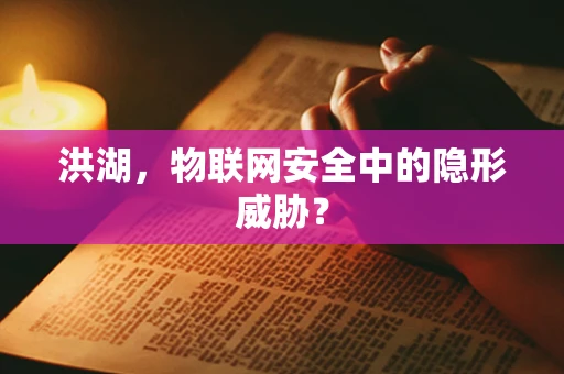 洪湖，物联网安全中的隐形威胁？