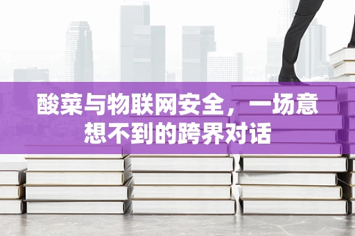 酸菜与物联网安全，一场意想不到的跨界对话