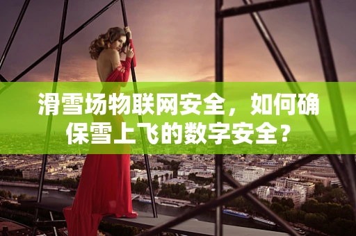 滑雪场物联网安全，如何确保雪上飞的数字安全？