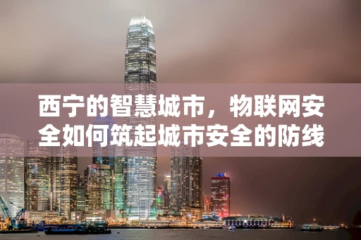 西宁的智慧城市，物联网安全如何筑起城市安全的防线？