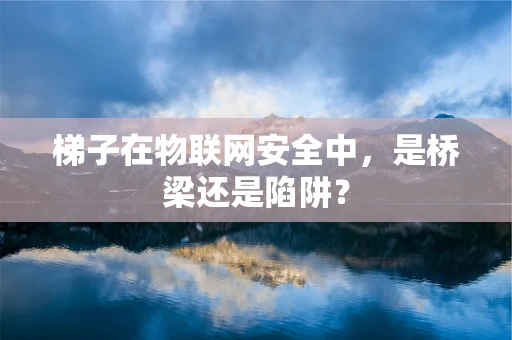 梯子在物联网安全中，是桥梁还是陷阱？