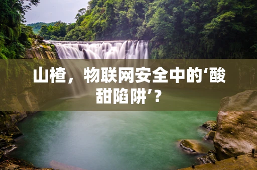 山楂，物联网安全中的‘酸甜陷阱’？