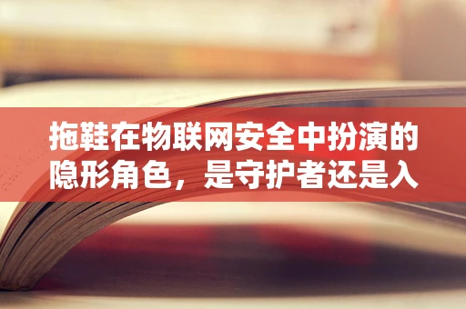 拖鞋在物联网安全中扮演的隐形角色，是守护者还是入侵者？