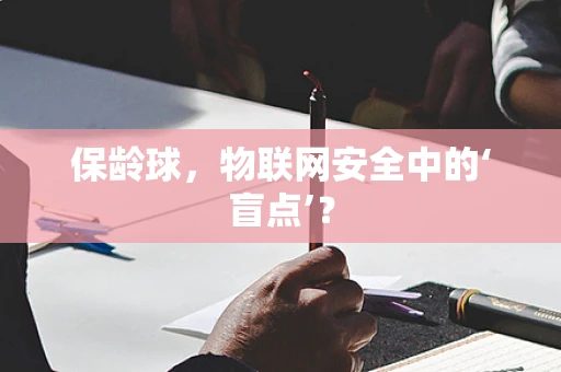 保龄球，物联网安全中的‘盲点’？