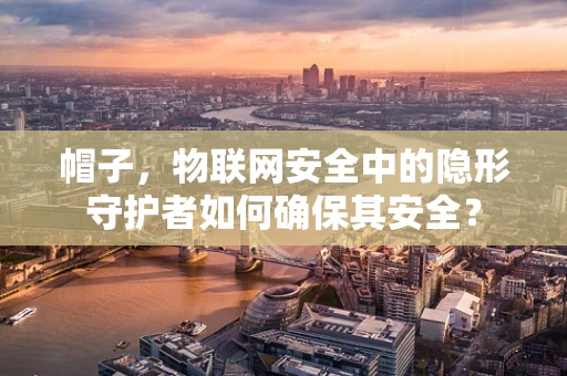 帽子，物联网安全中的隐形守护者如何确保其安全？