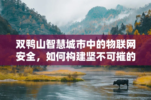 双鸭山智慧城市中的物联网安全，如何构建坚不可摧的防御网？