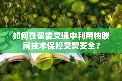 如何在智能交通中利用物联网技术保障交警安全？