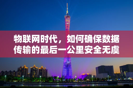 物联网时代，如何确保数据传输的最后一公里安全无虞？