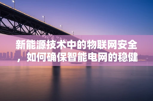 新能源技术中的物联网安全，如何确保智能电网的稳健运行？