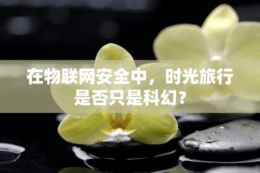 在物联网安全中，时光旅行是否只是科幻？