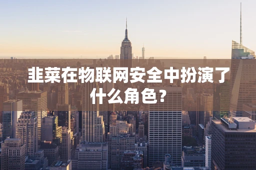 韭菜在物联网安全中扮演了什么角色？
