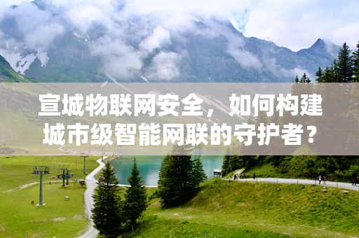 宣城物联网安全，如何构建城市级智能网联的守护者？