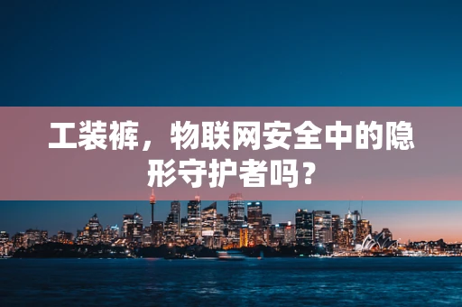 工装裤，物联网安全中的隐形守护者吗？