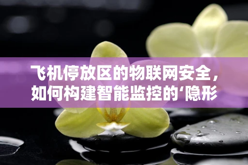 飞机停放区的物联网安全，如何构建智能监控的‘隐形盾牌’？