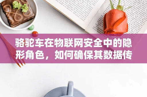 骆驼车在物联网安全中的隐形角色，如何确保其数据传输的安全？