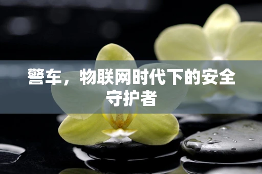 警车，物联网时代下的安全守护者