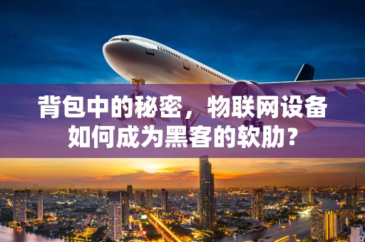 背包中的秘密，物联网设备如何成为黑客的软肋？
