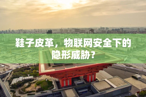 鞋子皮革，物联网安全下的隐形威胁？