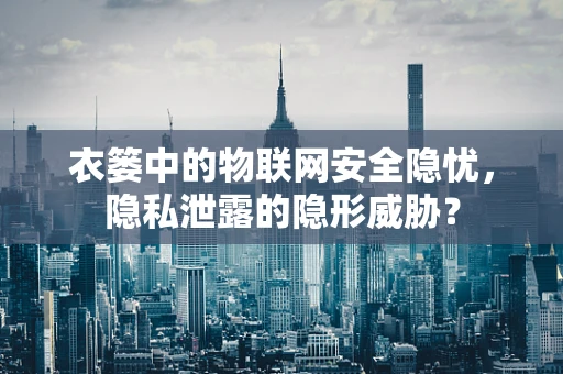 衣篓中的物联网安全隐忧，隐私泄露的隐形威胁？