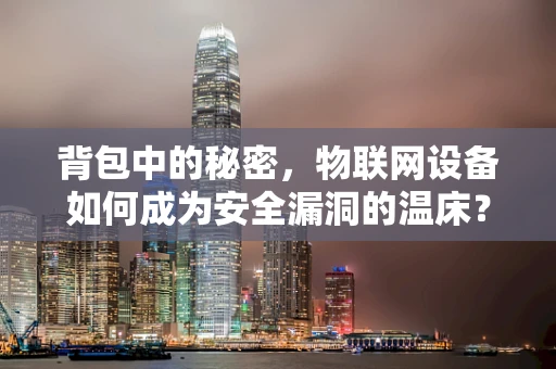 背包中的秘密，物联网设备如何成为安全漏洞的温床？