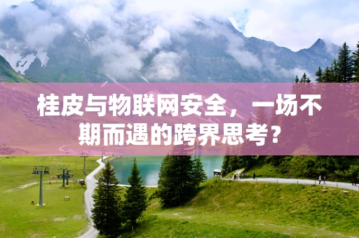 桂皮与物联网安全，一场不期而遇的跨界思考？