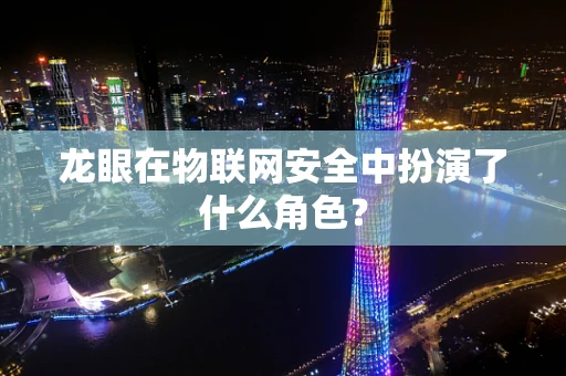 龙眼在物联网安全中扮演了什么角色？