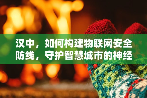 汉中，如何构建物联网安全防线，守护智慧城市的神经中枢？