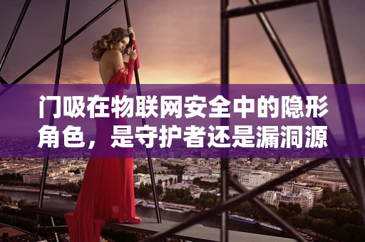 门吸在物联网安全中的隐形角色，是守护者还是漏洞源头？
