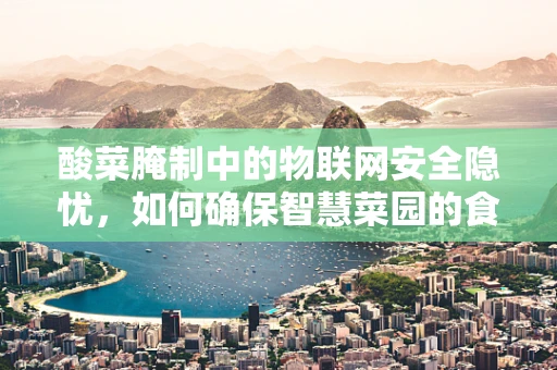 酸菜腌制中的物联网安全隐忧，如何确保智慧菜园的食品安全？