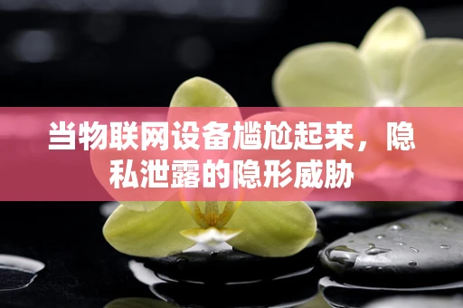 当物联网设备尴尬起来，隐私泄露的隐形威胁