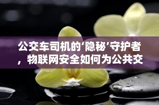公交车司机的‘隐秘’守护者，物联网安全如何为公共交通保驾护航？