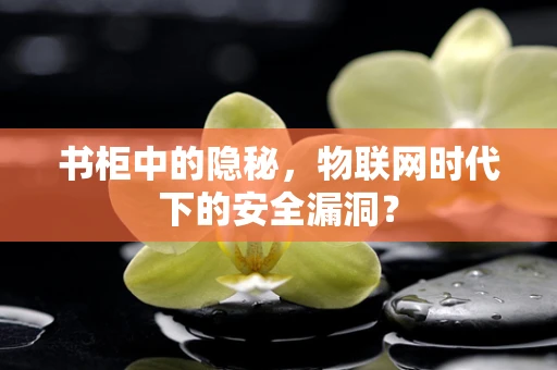 书柜中的隐秘，物联网时代下的安全漏洞？