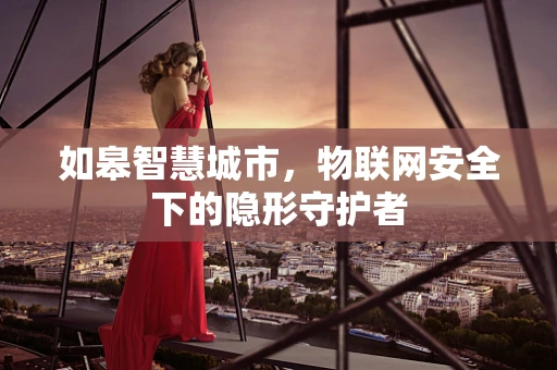 如皋智慧城市，物联网安全下的隐形守护者