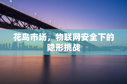 花鸟市场，物联网安全下的隐形挑战