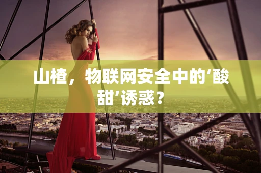 山楂，物联网安全中的‘酸甜’诱惑？