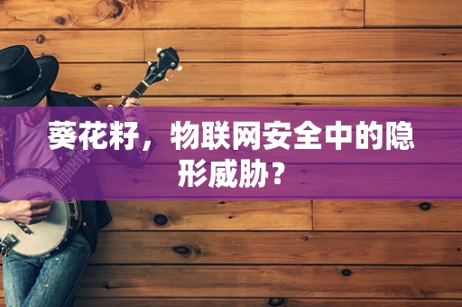 葵花籽，物联网安全中的隐形威胁？