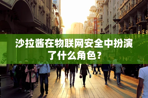 沙拉酱在物联网安全中扮演了什么角色？
